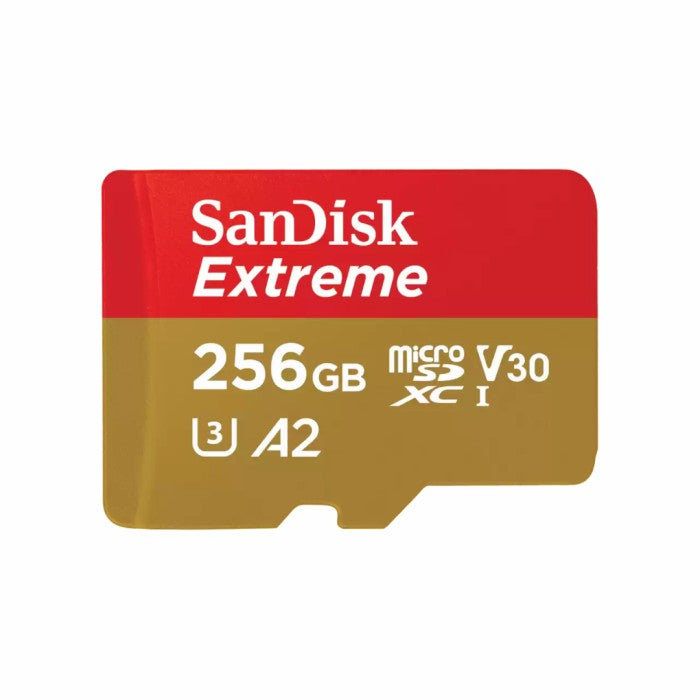 SANDISK EXT SDXC 256GB 190MBS